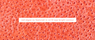 The 5 best skin care ingredients of 2026, according to estheticians